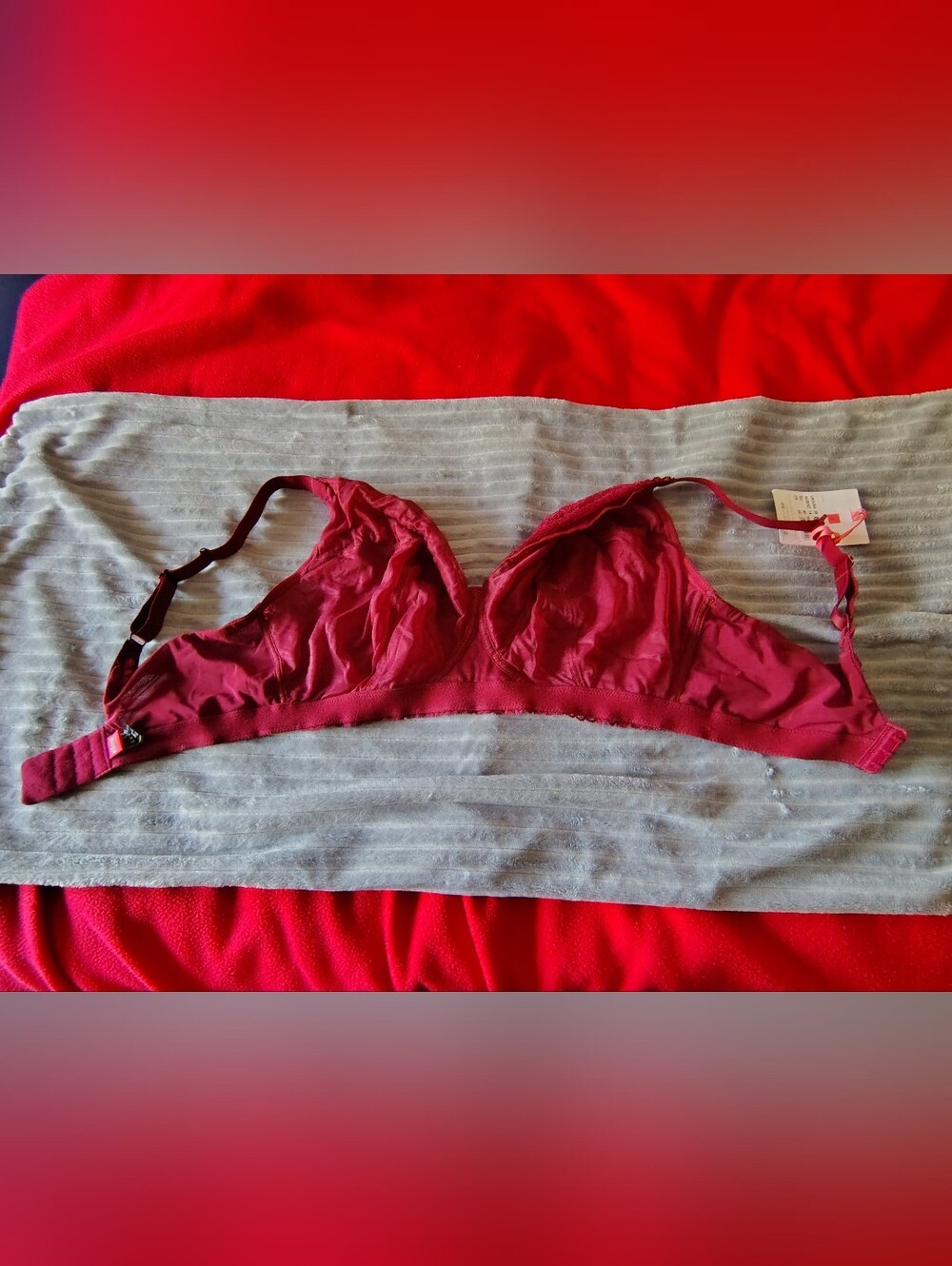 Size US 36J/ UK 36GG Cleo by Panache Berry Alexis Wireless Bralette